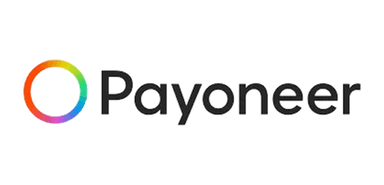Payoneer Logo Icons