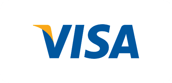 Visa Card Logo Icon